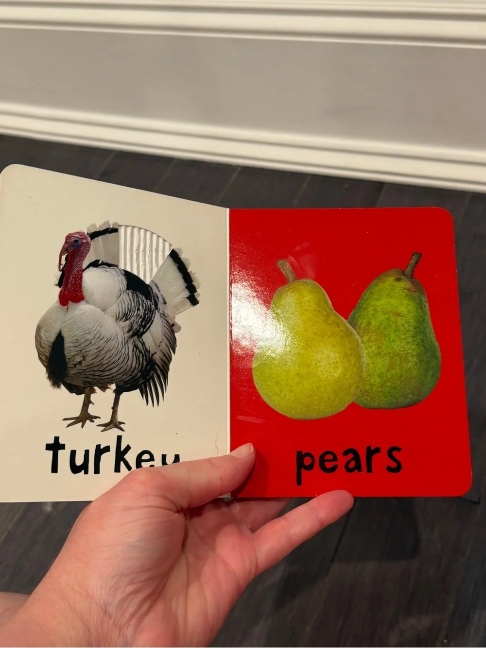 Fall Touch & Feel Baby Board Book - Red/Yellow Reading Kids Toddlers Babies